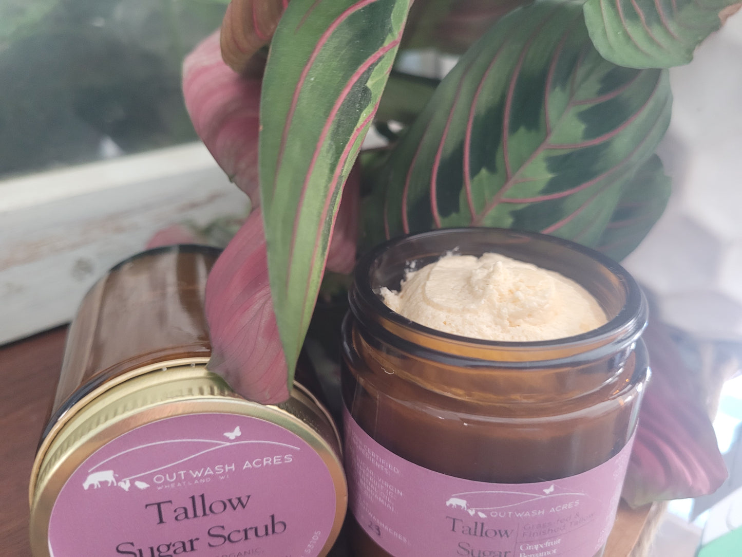 Organic Whipped Tallow Sugar Scrub
