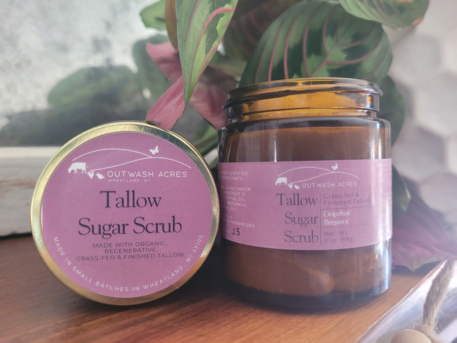 Organic Whipped Tallow Sugar Scrub